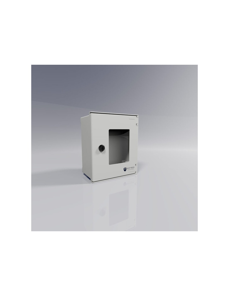[BRES325P] Safybox BRES-325P Monoblock-Wandgehäuse mit Sichtfenster