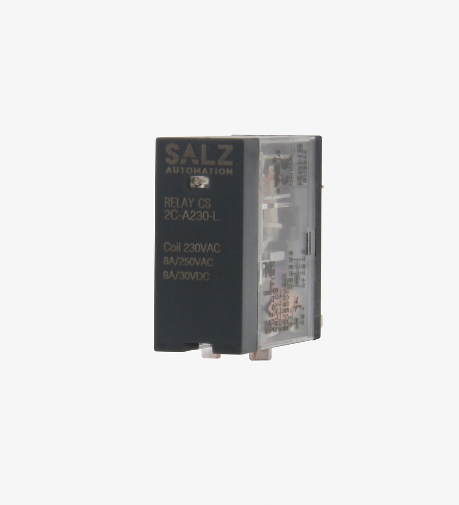 SALZ RELAY CS 2C-A48-L