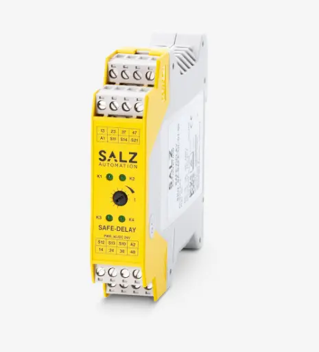 [SA-SAFE-DL-01-00] SALZ | SAFE-DELAY